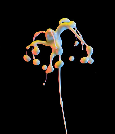 DRImage_2626