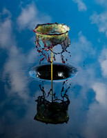 The Hole Series